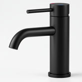 Single Handle Bathroom Faucet, Stainless Steel Single Hole Lavatory Faucet, Modern Sink Faucet, Matte Black