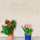 2 Pack Metal Garden Trellis 71" X 19.7" Rustproof Trellis For Climbing Plants Outdoor Flower Support