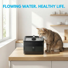 Ultra Silent Circulating Pet Drinking Fountain, 3800ML Large Volume, USB Powered Easy Clean Water Bowl For Kittens Puppies