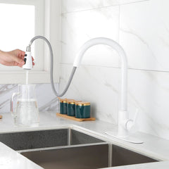 Kitchen Faucet With Pull Out Spraye