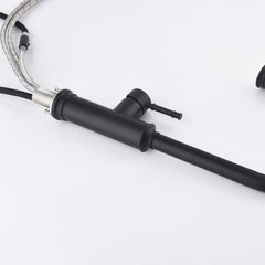 Single-handle Pull-down Kitchen Faucet With Dual-function Sprinklers