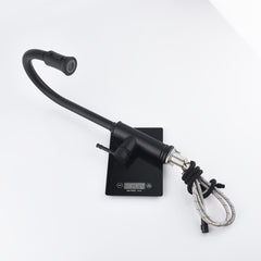 Single-handle Pull-down Kitchen Faucet With Dual-function Sprinklers