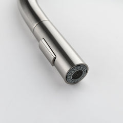 Stainless Steel Kitchen Sink Faucet With Pull-down Sprayer