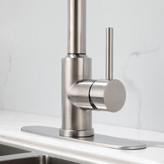 Stainless Steel Kitchen Sink Faucet With Pull-down Sprayer