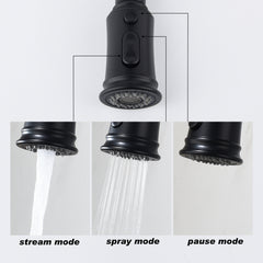 Pull-out Sprinkler Kitchen Faucet