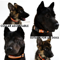 Reflective Leash Set It Can Reflect Light Sources Effectively Enhancing The Safety Of Pets During Outdoor Outings