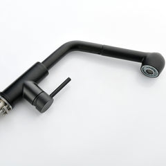 Stainless Steel Matte Black Single Handle Pull Out Spray, Kitchen Faucet
