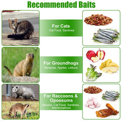 Humane Cat Trap Cage With Gloves Catch Release Live Animal Rodent Cage Collapsible Galvanized Wire For Raccoons Beavers Groundhogs Foxes Armadillos