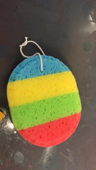 Oval Colorful Bath Sponge