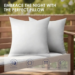 Throw Pillows, 2pack