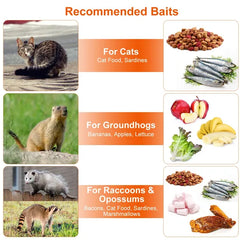 Humane Cat Trap Cage Catch Release Live Animal Rodent Cage Collapsible Galvanized Wire For Raccoons Beavers Groundhogs Foxes Armadillos