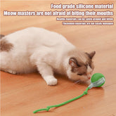 Interactive Rolling Cat Ball