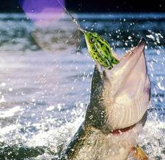 10 Pcs Frog Fishing Lures,Topwater Frog Fishing Lures,Freshwater Soft Simulated Frog Bait,Frog Artificial Soft Bait For Freshwater Saltwater