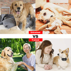 1Pc Dog Training Collar With Remote IP67 Waterproof Pet Trainer 300mAh Rechargeable 875 Yard Remote Control 4 Modes Adjustable Level