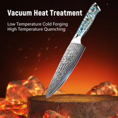 Damascus Steel Chef Knife 8 Inch, Santoku Knife, Boning Knife, Japanese Professional 10Cr15MOV Blade With Hand Forged Hammer Pattern, Ultra Sharp Kitchen Knife With Abalone Shell Ergonomic Handle