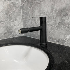 Bathroom Sink Faucet - Black