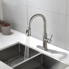 Single Handle High Pull Out Kitchen Faucet, Single-stage Stainless Steel Kitchen Sink Faucet, With Pull Down Spray