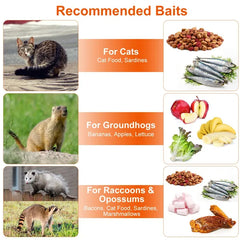 Live Animal Trap Cage 37x14x15in Folding Catch And Release Humane Cat Trap Galvanized Iron For Raccoons Foxes Coyotes Stray Dogs Armadillos Squirrels