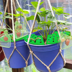 8Set Home Strawberry Planting Kit With 2 Sturdy Legs Inchlde 16 Strawberry Plant Supports 40 Insect-proof Mesh Bag Reusable Strawberry Growing Racks Frame Protecting Strawberry Plants