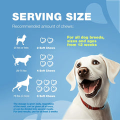 Hemp Calming Chews For Dogs Anxiety Dog Calming Treats With Melatonin Valerian Root Chamomile Extract & Vitamin B Complex Canine Chews For Vet Visits Grooming Travel Thunderstorms Fireworks