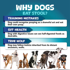 No Poo Chews For Dogs Stop Poop Eating Behavior Probiotics And Digestive Enzymes For Dogs Bad Breath Support For All Breeds Digestive And Gut Health Supplement 180 Soft Chews