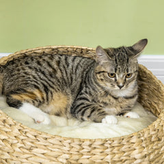 Elevated Cat Bed With Sisal Scratching Post For Indoor Kitties, Modern Cat Tree With Cute Basket Design, Small Cat Tree With Ball Toy