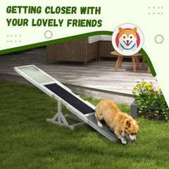 Wooden Dog Agility Seesaw for Training and Exercise, White