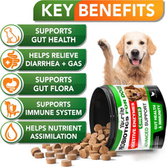 Youmile Probiotics For Dogs Soft Chews For Seasonal Allergies, Gut, And Digestive Health. Vet-Reviewed, Premium-Quality Ingredients - Supplements Dog Vitamin Hip And Joint Supplement