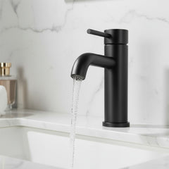 Single Handle Bathroom Faucet, Stainless Steel Single Hole Lavatory Faucet, Modern Sink Faucet, Matte Black