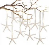 20 PCS Christmas Starfish Hanging Ornaments 3-4'' Natural Starfish With Rope