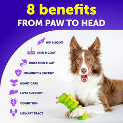 Dog Multivitamin Chewable With Glucosamine 20 In 1 Dog Vitamins And Supplements Senior & Puppy Multivitamin For Dogs Pet Joint Support Health Immunity Mobility Gut Skin 120 Chews