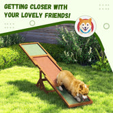 Wooden Dog Agility Seesaw For Training And Exercise, Weather Resistant, 83 L X 16 W X 14 H, Orange