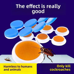 One Year No Cockroaches Home Cockroach Bait Sticker