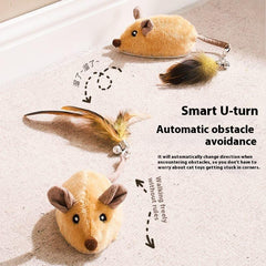 Electric Orange Mouse