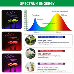 Full Spectrum Indoor Plant Grow Light With Adjustable Stand – 80 LEDs Floor Plant Lamp, 5 Dimming Levels (20%-100%), 3/9/12H Auto On/Off Timer, Height Adjustable Growing Light For Houseplants