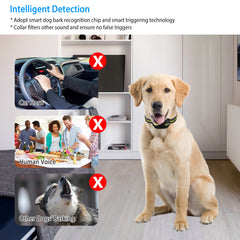 Dog Bark Collar Rechargeable Waterproof Beep Vibration Static Stimulation Bark Stopper Automatic Identification Collar With 6 Intensity Dual Modes