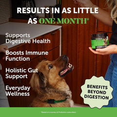 Youmile Probiotics For Dogs Soft Chews For Seasonal Allergies, Gut, And Digestive Health. Vet-Reviewed, Premium-Quality Ingredients - Supplements Dog Vitamin Hip And Joint Supplement
