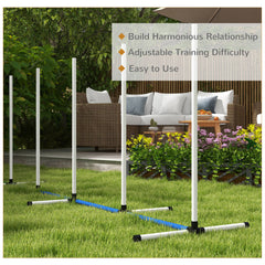 2pc Dog Agility Training Equipment Set with Spray Water Tube, White