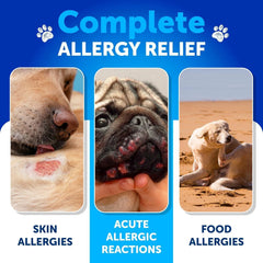 Dog Allergy Relief Chews Itching Skin Relief For Dogs Fish Oil 3 Seasonal Allergies Pills Skin & Coat Anti ItchHot Spots Treatment Canine Immune Health Supplement 180 Soft Treats