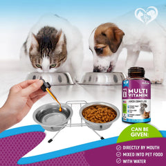 Cat And Dog Multivitamin Liquid With Glucosamine & Cranberry 15 In 1 Health Supplements For Urinary Tract Kidney Bladder Hip And Joint Skin And Coat 60 Ml