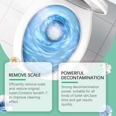 Household Bathroom Odor Removal Toilet Cleaner Toilet Cleaner
