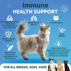 Lysine For Cats Lysine Powder Supplement 900mg Serving Immune Support For Cats & Kittens Sneezing Runny Nose Squinting Watery Eyes Cold Eye Respiratory Health With Taurine