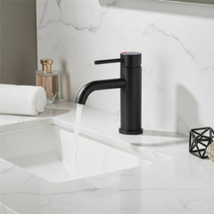 Single Handle Bathroom Faucet, Stainless Steel Single Hole Lavatory Faucet, Modern Sink Faucet, Matte Black
