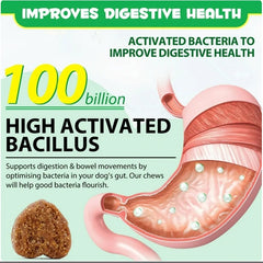 Probiotics Chews For Pets Customized Shape