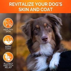 Youmile Omega 3 For Dogs - 120Ct Fish Oil Treats - Allergy & Itch Relief Skin & Coat Supplement - Dry Itchy Skin, Anti Shedding & Hot Spots Treatment - Pet Salmon Oil Chews - Chicken Flavor Dog Vit