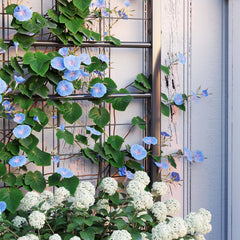 Outdoor Planter Box Galvanized Raised Garden Bed
