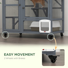 Cat House
