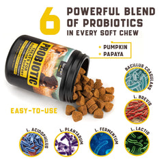 Probiotics For Dogs Support Gut Health Itchy Skin Allergies Yeast Balance Immunity Probiotics And Digestive Enzymes For Small Medium And Large Dogs 180 Probiotic Chews For Dogs Duck Flavor