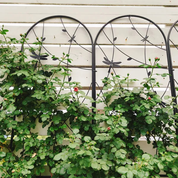 4 Pack Metal Garden Trellis 86.7" X 19.7" Rustproof Trellis For Climbing Plants Outdoor Flower Support Dragonfly Deco Black