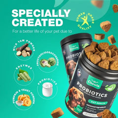 Probiotics For Dogs Gut Health Digestion Immunity Yeast Balance Itchy Skin Allergies Support Dog Probiotic Chews With Digestive Enzymes For Gut Flora Soft Treats With Pumpkin And Yeast Powder